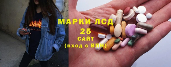 прущие грибы Дмитровск