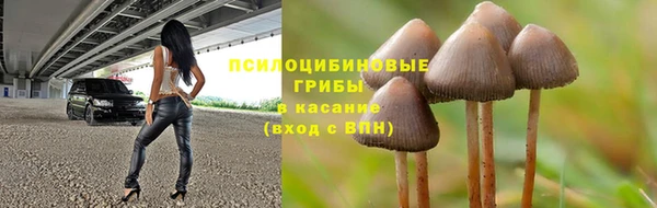прущие крисы Дмитров