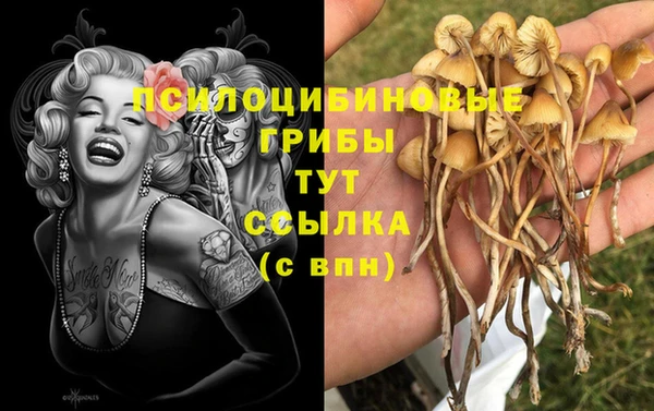 герыч Солнечногорск
