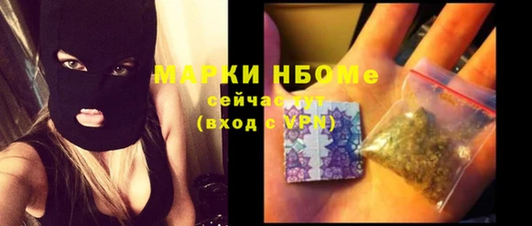 прущие грибы Дмитровск