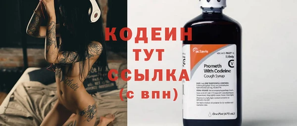 mdpv Елизово