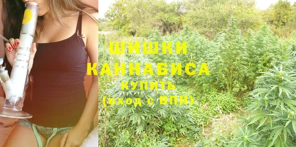 прущие крисы Дмитров