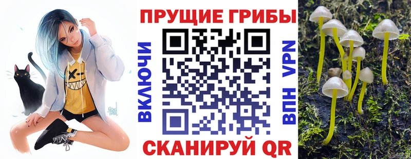 магазин продажи наркотиков  shop телеграм  блэк спрут ССЫЛКА  Псилоцибиновые грибы Psilocybe  Ермолино 
